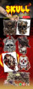 SKULL A-31.6X10.5 CM  copie